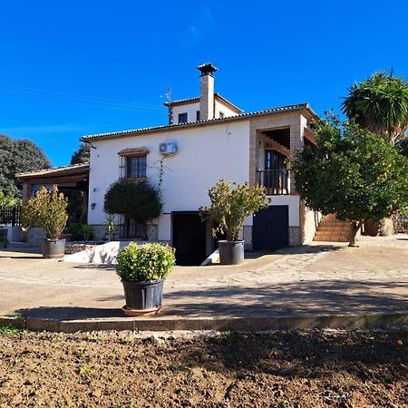 فيلا Casa Albarracin Setenil De Las Bodegas المظهر الخارجي الصورة